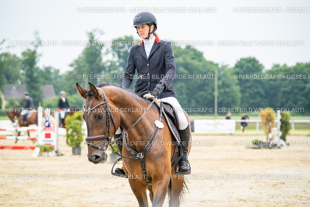 DSC00306 | Pferdegrafie