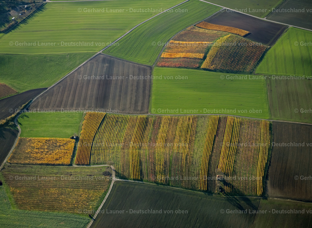 4042743 | Weinberge bei Dingolshausen