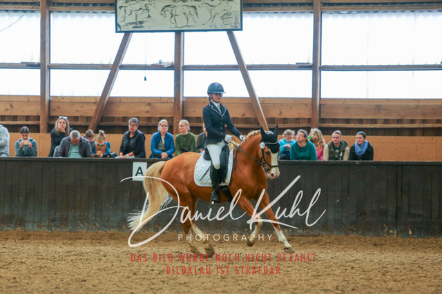 IMG_0580 | Turniersportfotografie; Pferdefotografie; Dressurfotografie