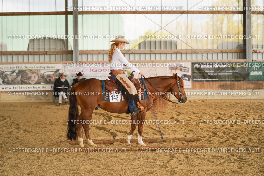 DSC02416 | Pferdegrafie