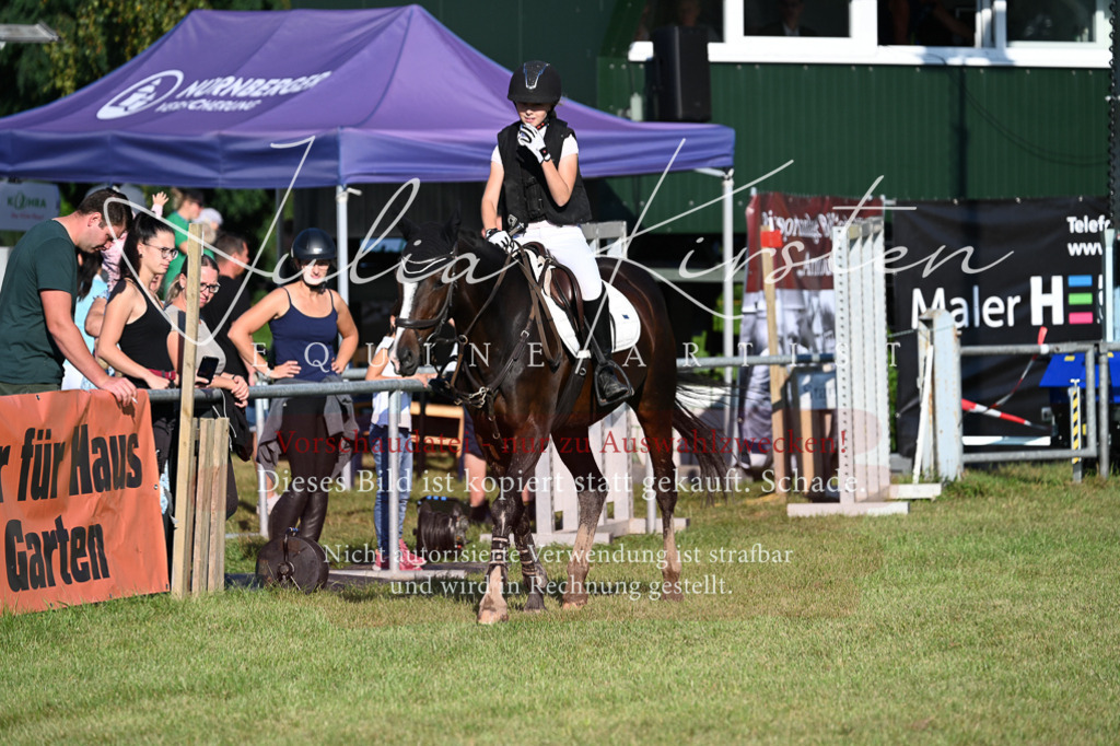 DSC_4672 | Pferde- und Turnierfotografie in Westsachsen. Pferdeportraits, Auftragszeichnungen und intuitive Kunst.