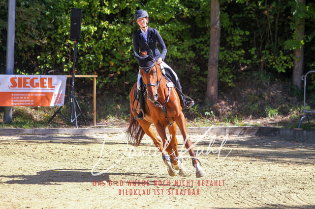 DKP43121 | Deine Turnierfotos vom Reitturnier online kaufen: Dressur, Springen & Siegerehrung. Professionelle Pferdefotografie aus dem Rheinland – als Download & Print.Alternative: Turnierfotograf für den Pferdesport: Finde deine Fotos von Dressur- und Springturnier