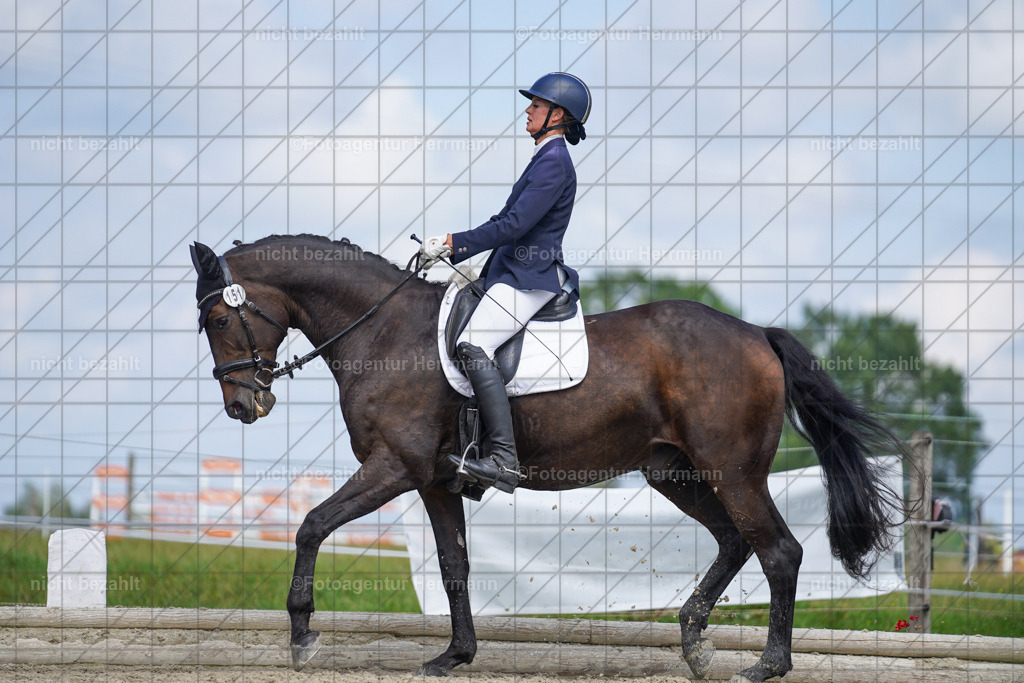 20230826-FAH05524 | Forstinning, 2023, Dressurturnier, Turniersportbilder, Turnierfotografen Bayern, Fotoagentur Herrmann, Reitsportfotografie, Turnierbilder