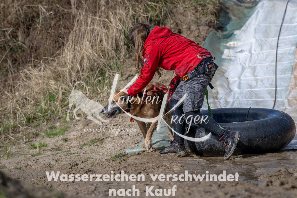 0953_ZZ92529 | kk-dogfotos
