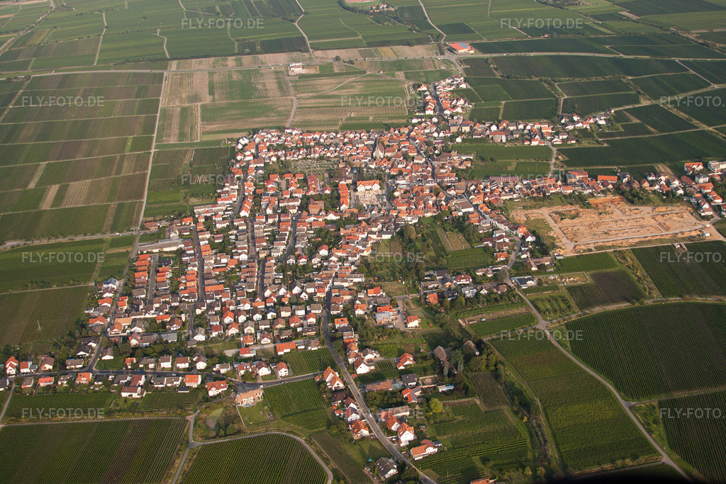 Luftbild: an der Weinstraße im Ortsteil Diedesfeld in Neustadt im Bundesland Rheinland-Pfalz in Deutschland. Foto: IMG_33066.jpg vom 04.09.2010 durch Werner Riehm/FLY-FOTO.de