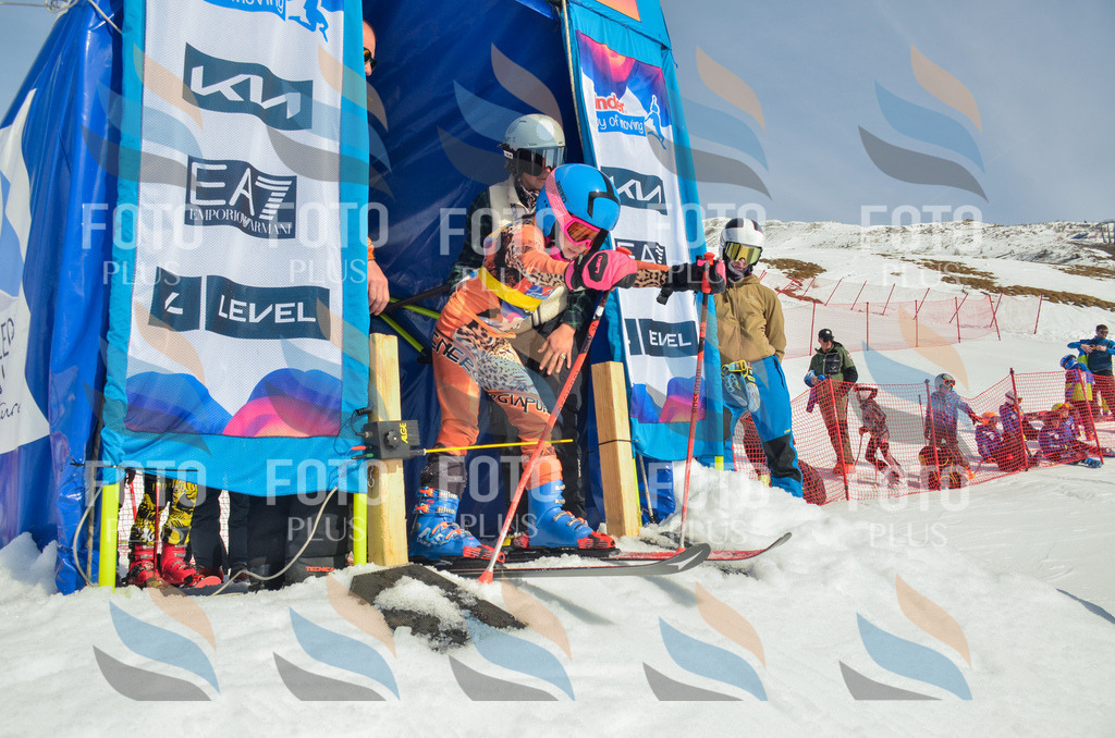 _ELE4370 | holidayphoto