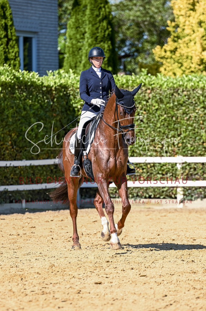 Schugtsche-Aluta25-50.Dressurpferdeprf.L-220 | Schugtsche Fotografie - Realisiert mit Pictrs.com