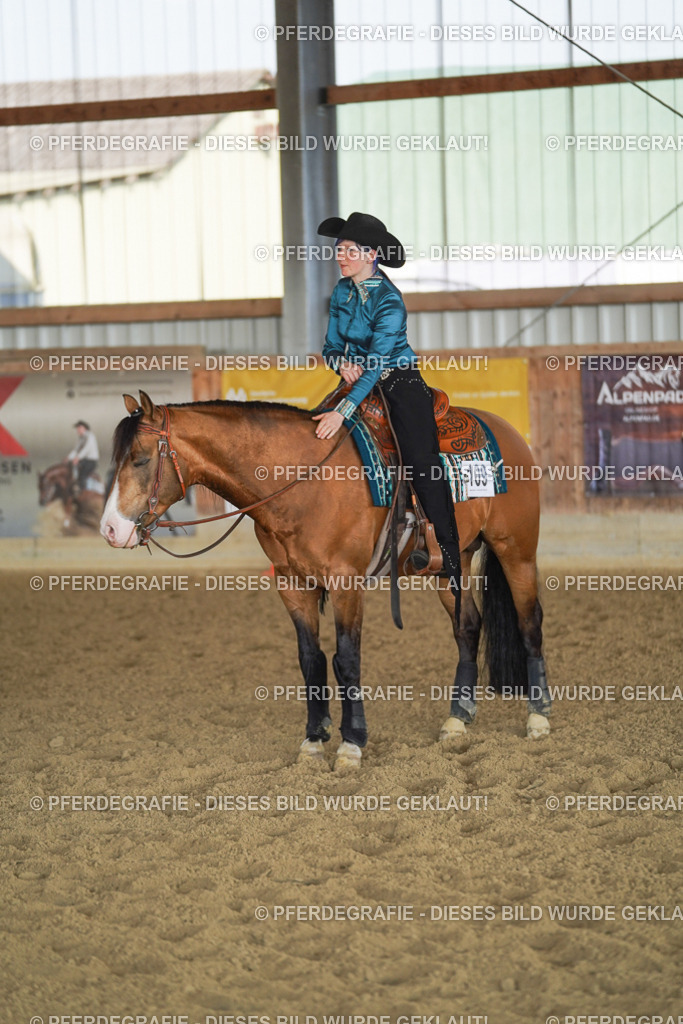 DSC09995 | Pferdegrafie