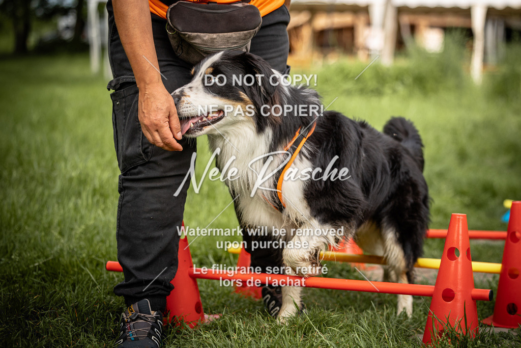 nelerasche_So-earlydog_64 | nelerasche