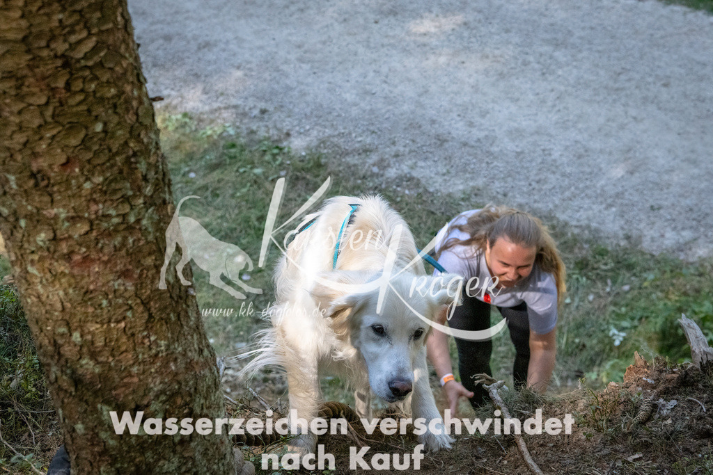 1131_ZZ90736 | kk-dogfotos
