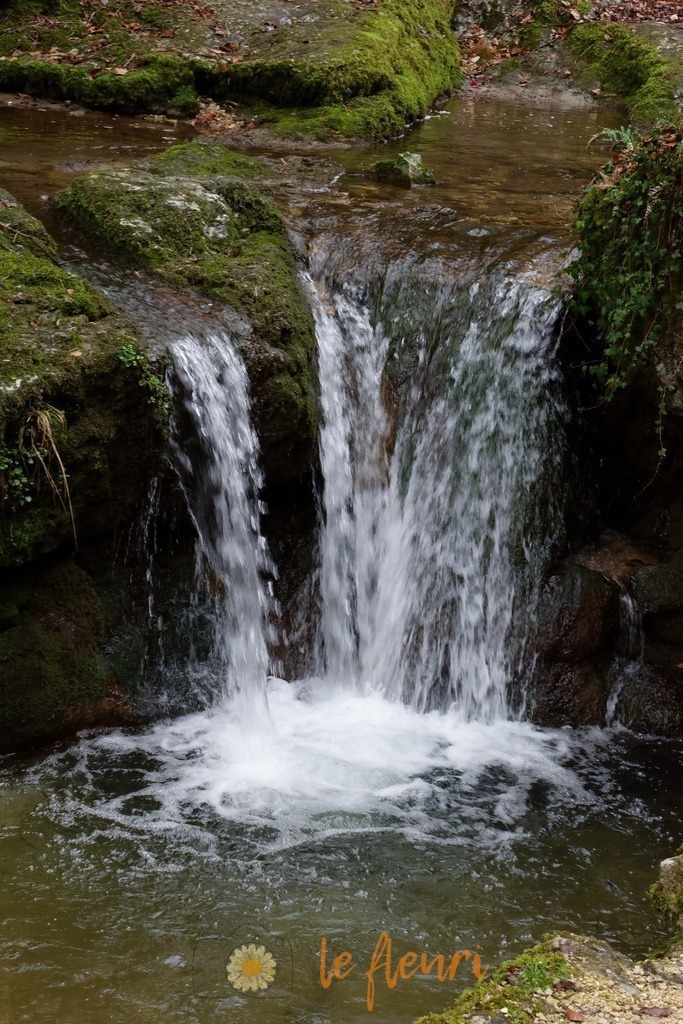 DSC_0026-NEF_DxO_PRIME | Dies ist der Shop von Florian Blum - le fleuri. Langenthal, Bern, SchweizSie können hier meine oder ihre eigenen Fotos als Fotoprodukte kaufen. Tassen, Schlüsselanhänger, Taschen etc. können Sie hier gestalten.  - Realisiert mit Pictrs.com