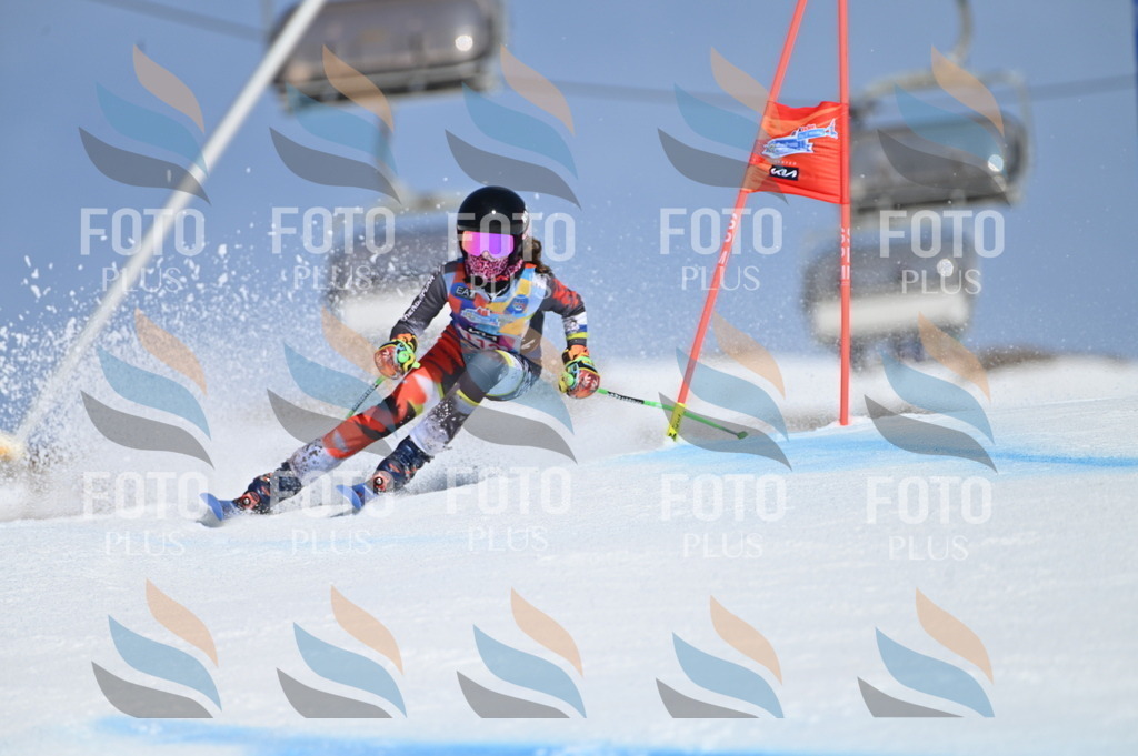 BGV_9671 | holidayphoto