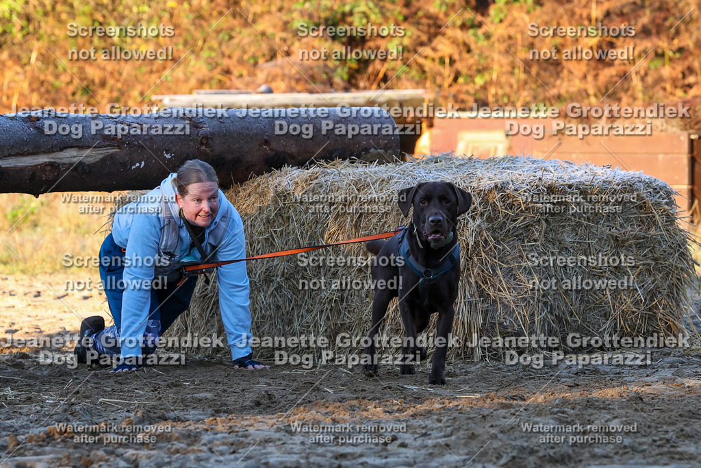 Dog Paparazzi - Strongdog 10-25-544 | Dog Paparazzi Jeanette Grottendiek Fotografie & Videografie - Realisiert mit Pictrs.com