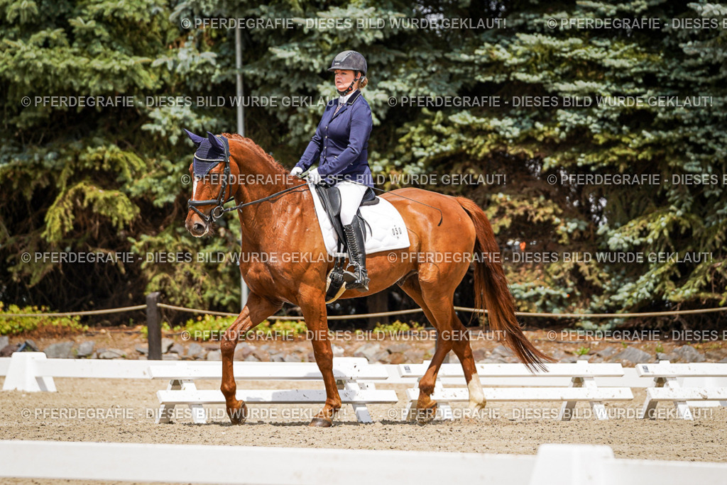 DSC02382 | Pferdegrafie