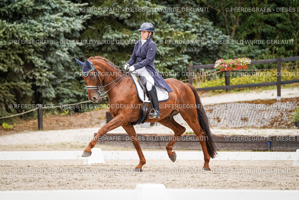 DSC05862 | Pferdegrafie