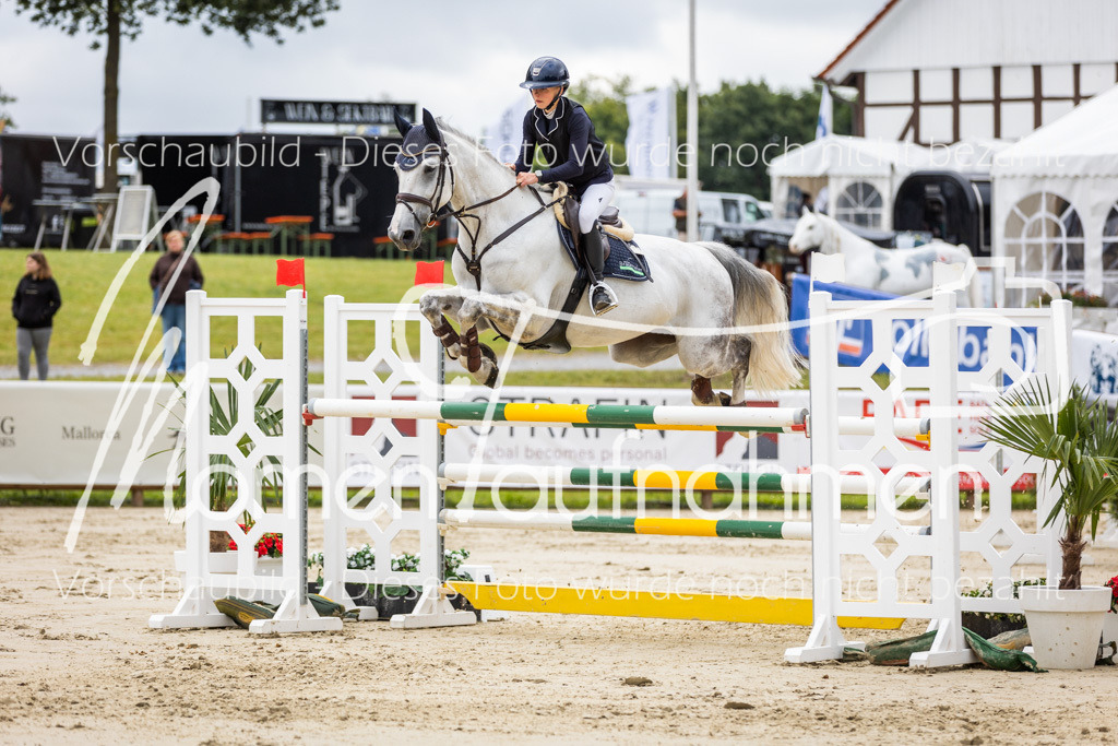 BHO-2PhSpr-M-5-2086 | MomenTaufnahmen Pferdesportfotos