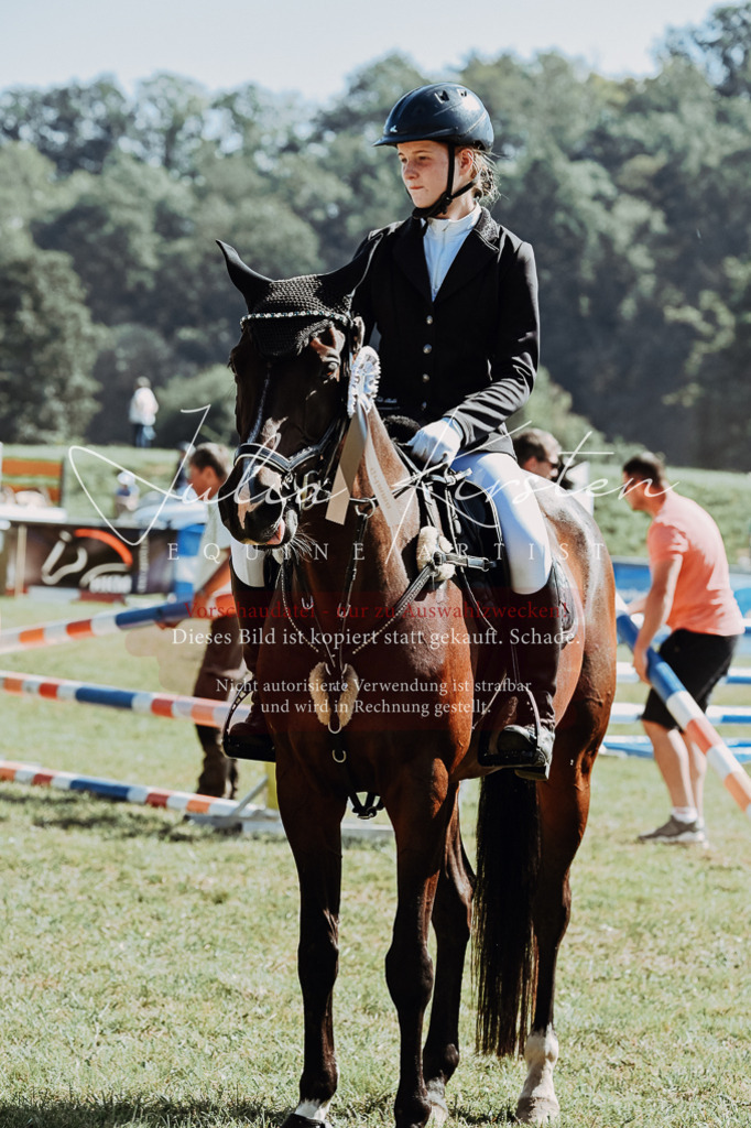 DSC_6204 | Pferde- und Turnierfotografie in Westsachsen. Pferdeportraits, Auftragszeichnungen und intuitive Kunst.