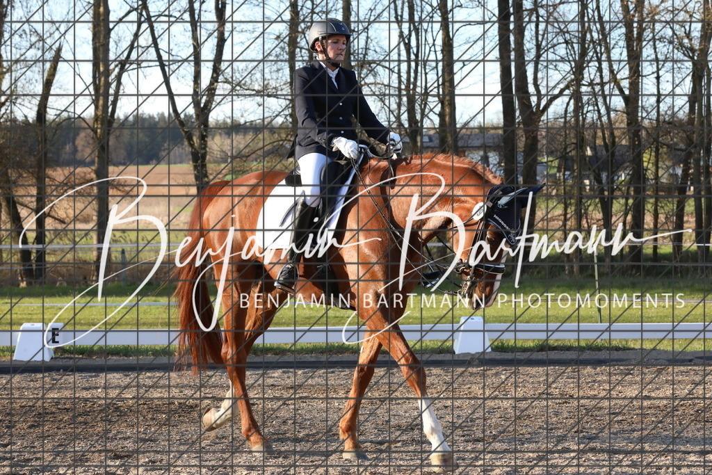 AZ2A5675 | Benjamin Bartmann Photomoments