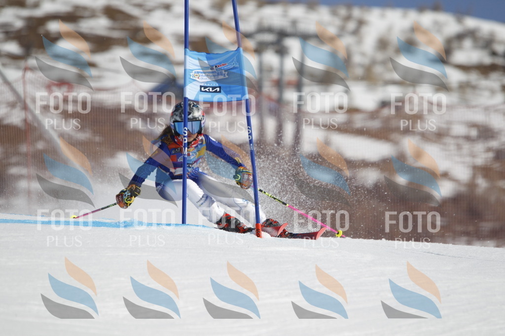 _U3G9084 | holidayphoto