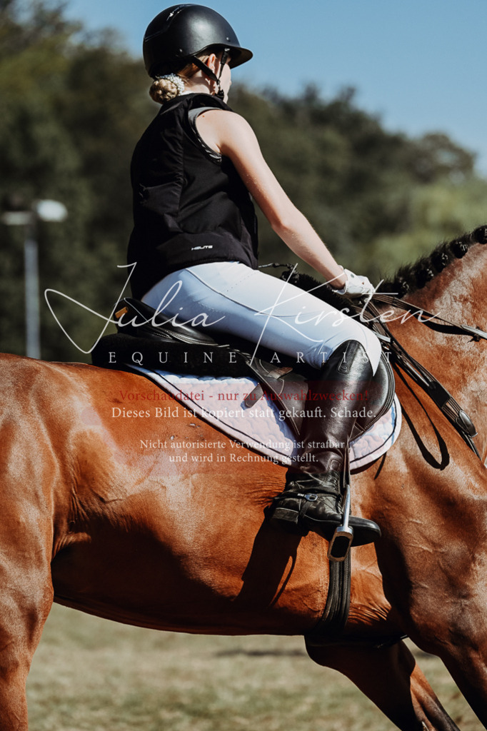 DSC_9561 | Pferde- und Turnierfotografie in Westsachsen. Pferdeportraits, Auftragszeichnungen und intuitive Kunst.