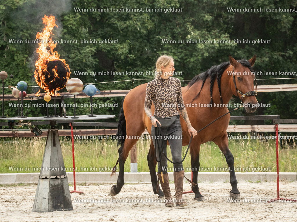 598A8100 | photographylinaismer - Realisiert mit Pictrs.com