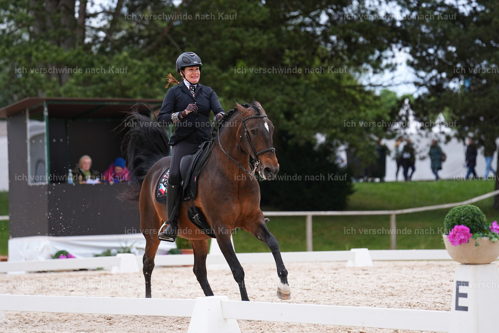 SIN08191 | working equitationturnier fotograf videograf stoibphotography marixx film working equitation deutschland reitsport turnierfotografie eventfotografie equestrian events