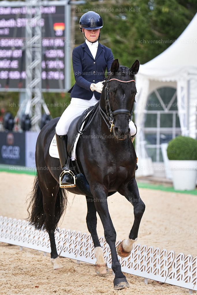 04_1-033-Dressur M__ -Marixx-2763 | working equitationturnier fotograf videograf stoibphotography marixx film working equitation deutschland reitsport turnierfotografie eventfotografie equestrian events