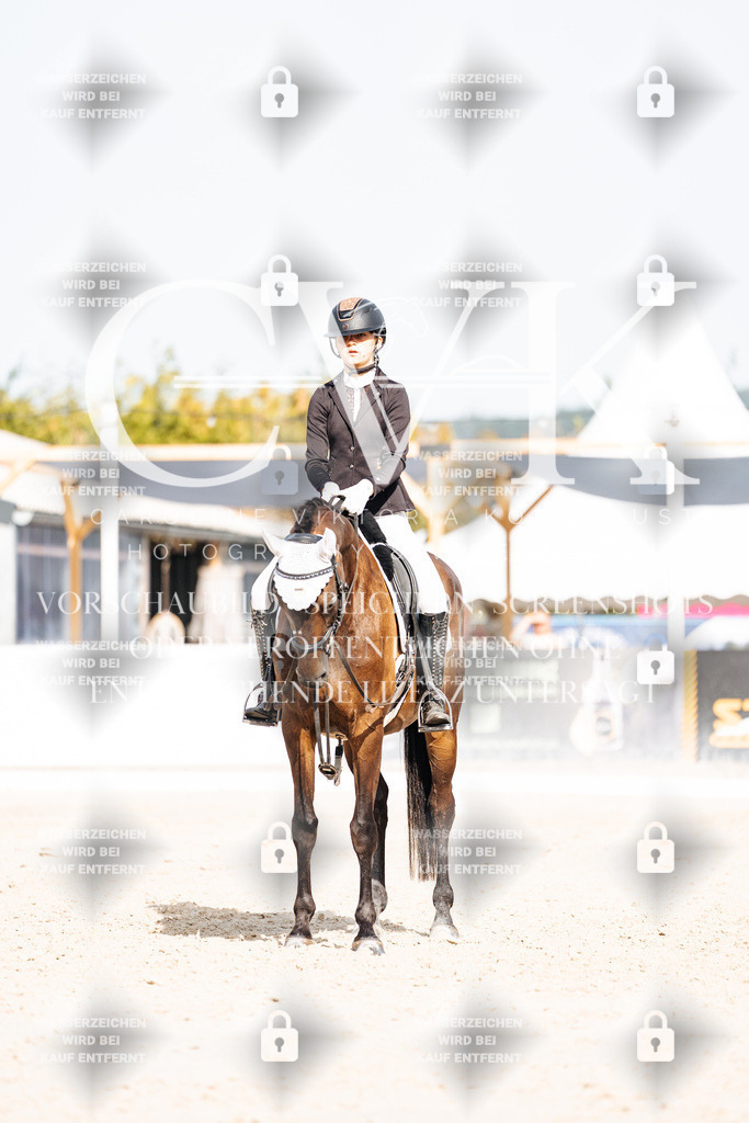 CK905234 | Turnierfotografie Pferdefotografie Trier Rheinland-Pfalz Pferdesport Reitsport Tierfotografie Sportfotografie Pferdevideo Pferdevideografie Equestrianvideography equestrianphotography  - Realisiert mit Pictrs.com