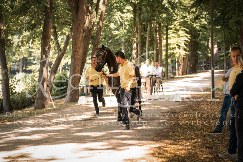 FrPfM00215 | Leoni Ertmer Photography - Realisiert mit Pictrs.com