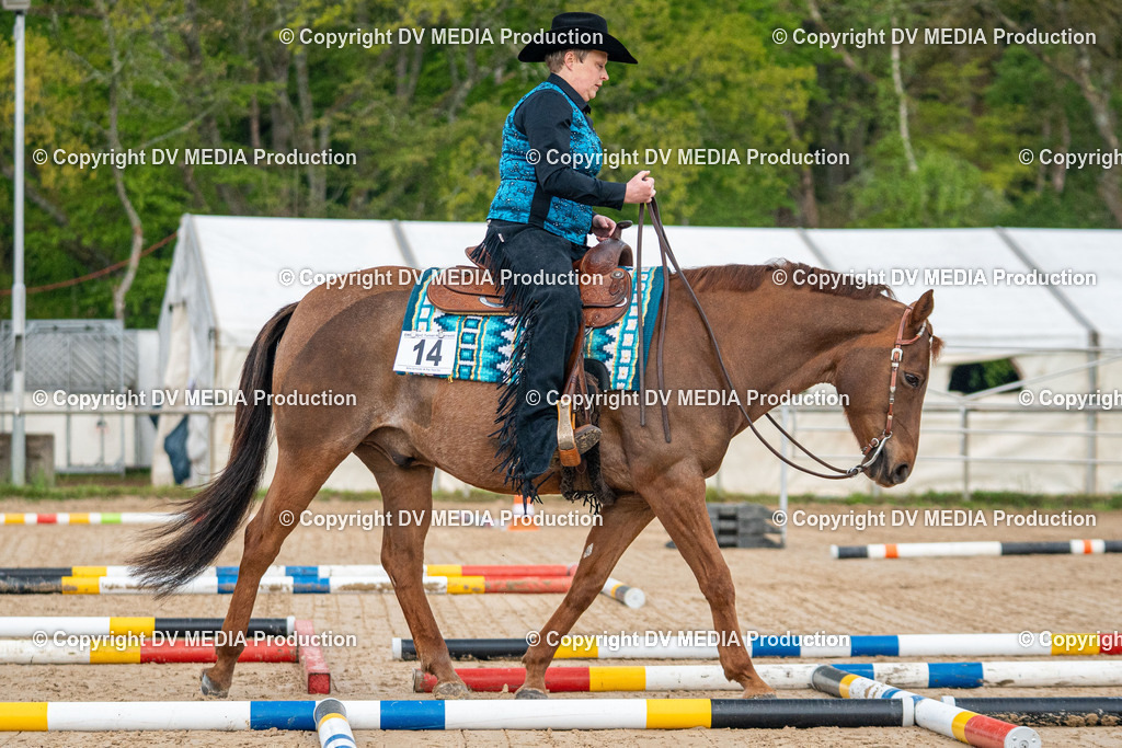 Heiligenwald Tag 1-17 | dv-media-shop - Realisiert mit Pictrs.com
