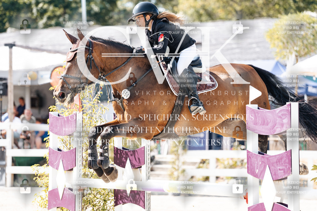 CK908639 | Turnierfotografie Pferdefotografie Trier Rheinland-Pfalz Pferdesport Reitsport Tierfotografie Sportfotografie Pferdevideo Pferdevideografie Equestrianvideography equestrianphotography  - Realisiert mit Pictrs.com