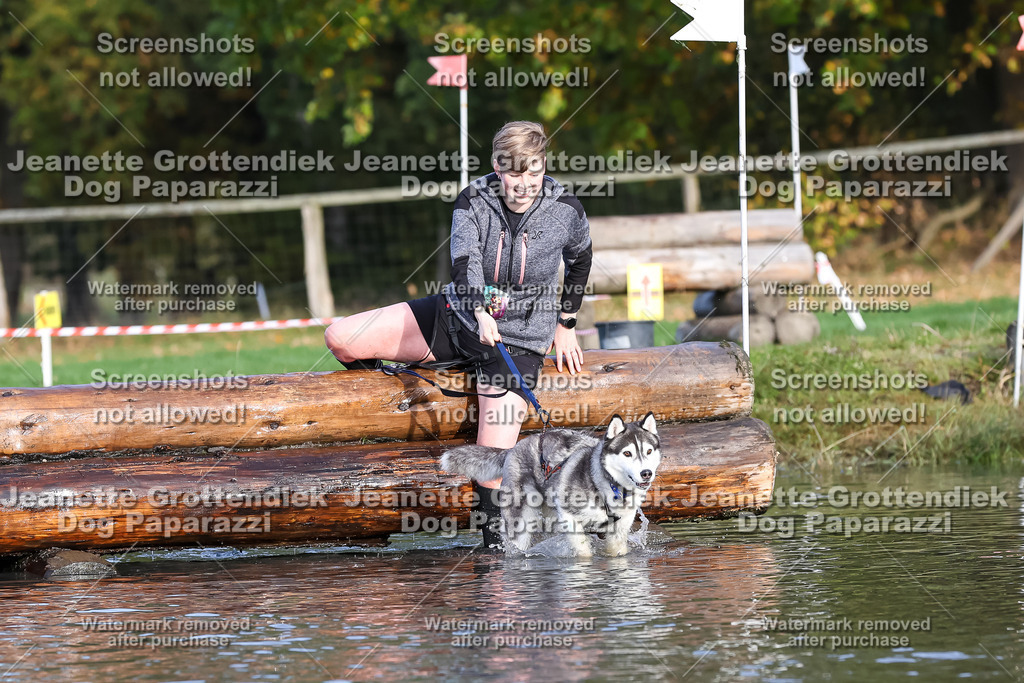 Dog Paparazzi - Strongdog 10-25-8352 | Dog Paparazzi Jeanette Grottendiek Fotografie & Videografie - Realisiert mit Pictrs.com