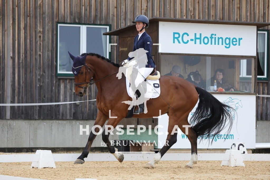 0P6A0706 | Willkommen bei Brunnmayr - Design & Fotografie – Ihrem Spezialisten für Reitturniere und Pferdeveranstaltungen in Oberösterreich, Salzburg und Bayern! Seit über 17 Jahren sind wir leidenschaftlich dabei.