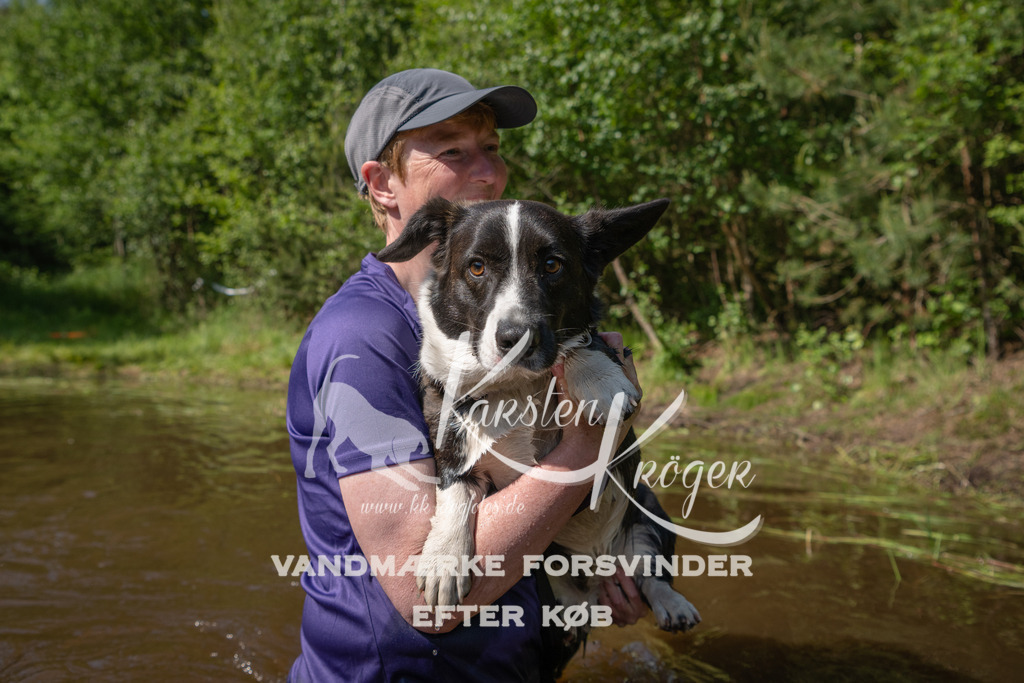 1625DKK990182 | kk-dogfotos