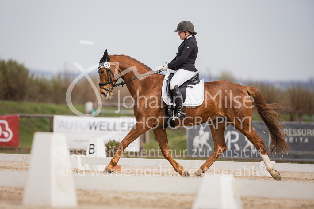 230410_Frühlingsfest_A-Dressur-467 | Deine schönsten Turniermomente als professionelle Fotos! Entdecke hochwertige Pferdesport-Fotografie im Online-Shop. Jetzt Fotos finden & bestellen!