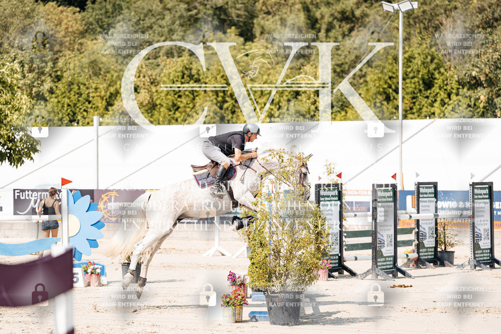 CK901425 | Turnierfotografie Pferdefotografie Trier Rheinland-Pfalz Pferdesport Reitsport Tierfotografie Sportfotografie Pferdevideo Pferdevideografie Equestrianvideography equestrianphotography  - Realisiert mit Pictrs.com