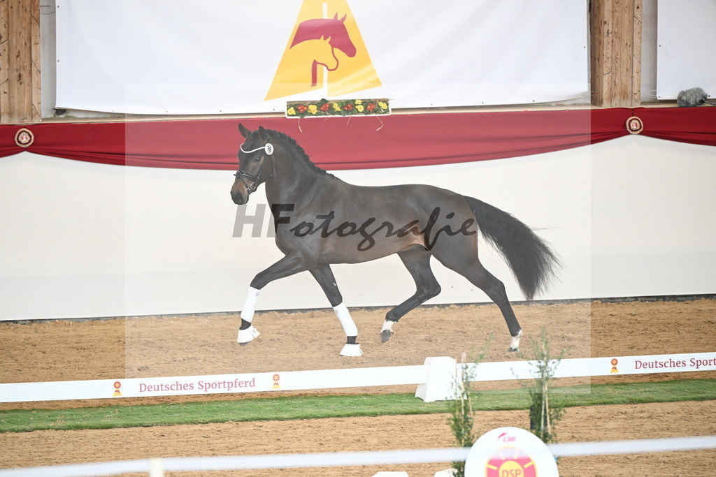Kat.-Nr. 78 v. Springbank II VH_Reichert_2250748 | hf-fotografie - Realisiert mit Pictrs.com