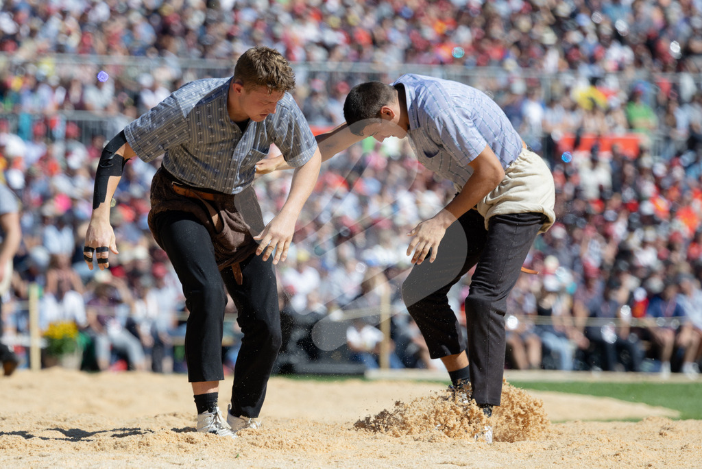ESAF2025_06Gang_6266 | Die Schwinger des Schwyzer Kantonalen Schwingerverbandes: Fotos, die Dynamik und Leidenschaft festhalten, sowie emotionale Momente aus dem traditionellen Schwingsport zeigen. - Realisiert mit Pictrs.com