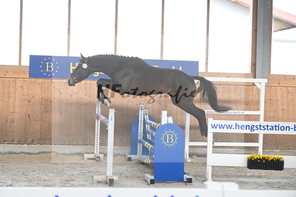 Kat-Nr. 15 Octopus v. Ostinato XX_Bray_14260718 | hf-fotografie - Realisiert mit Pictrs.com
