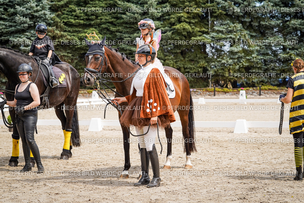 DSC03171 | Pferdegrafie