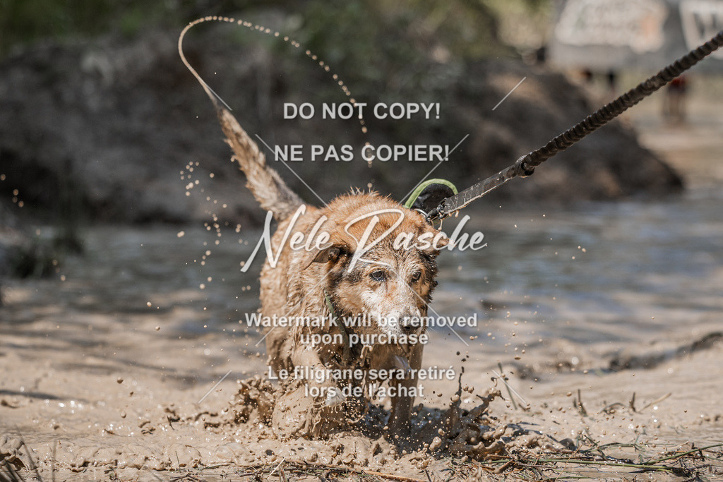 nelerasche_Hoope2026_Sa1400-1430_292 | nelerasche