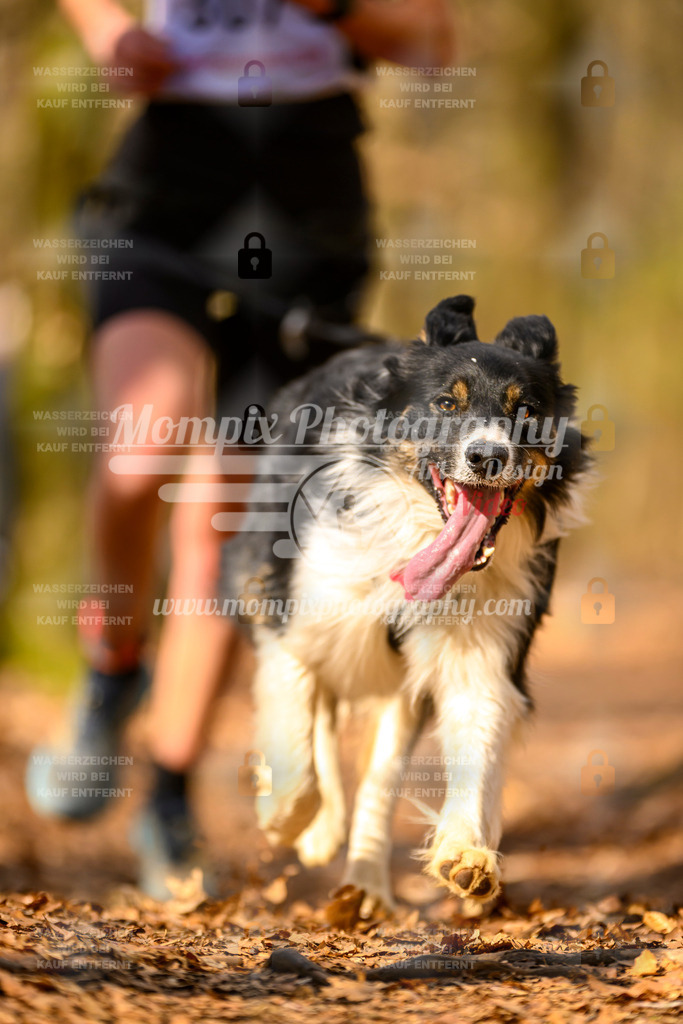 MompixPhotography_Habay2025_SA_CCC-168 | PayLife