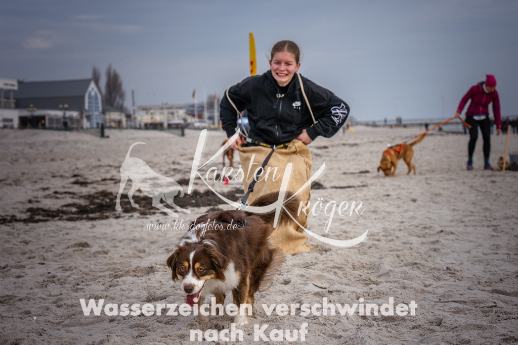 1301_ZZ97795 | kk-dogfotos