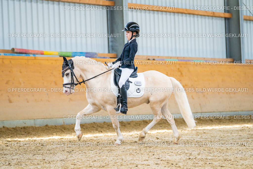 DSC07430 | Pferdegrafie