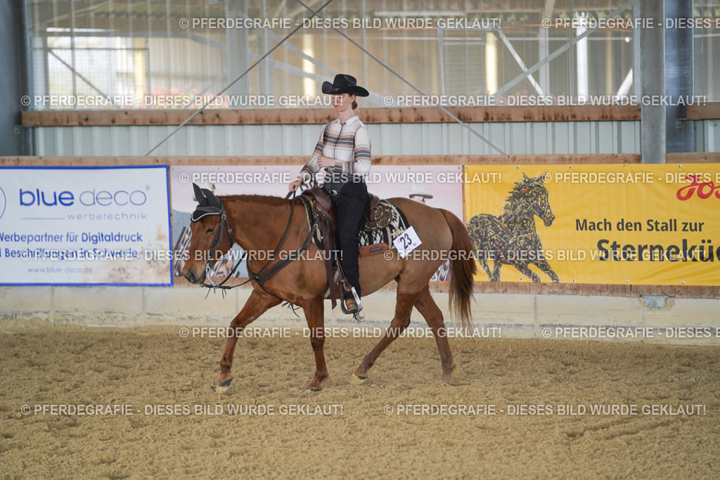 DSC00042 | Pferdegrafie