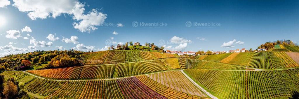 Grabkalle auf dem Württemberg im Herbst | löwenblicke | shop