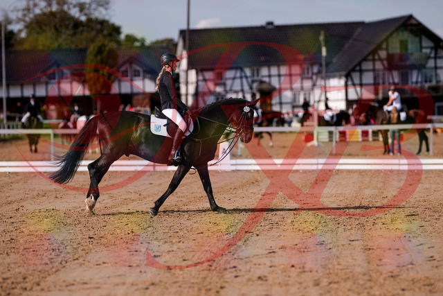2026_10_03_Siefer-Hof_115615_Z81_96501792 | Professionelle Reitsport-, Turnier- und Eventfotografie von Robert Broda. Galerien mit ausgewählten und bearbeiteten Bildern direkt online ansehen und bestellen.