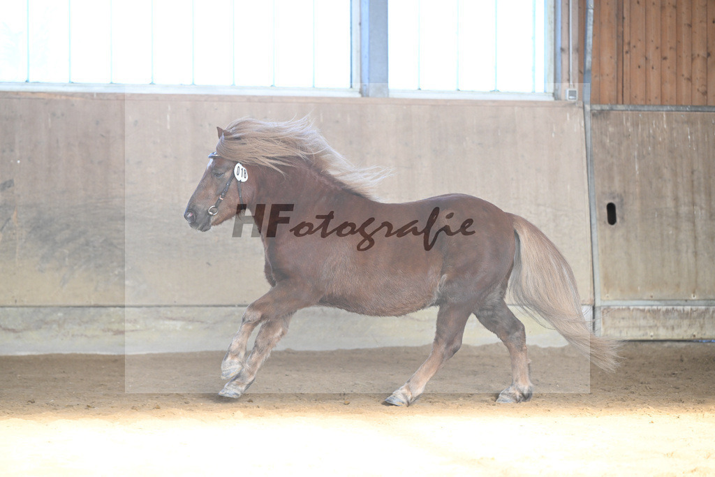 Kat-Nr. 18 Well Doves Walesco v. Well done_Laege u Ruediger_49250793 | hf-fotografie - Realisiert mit Pictrs.com