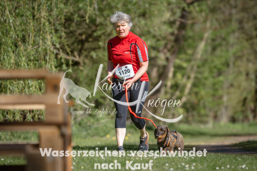 1022DZ6_3871 | kk-dogfotos