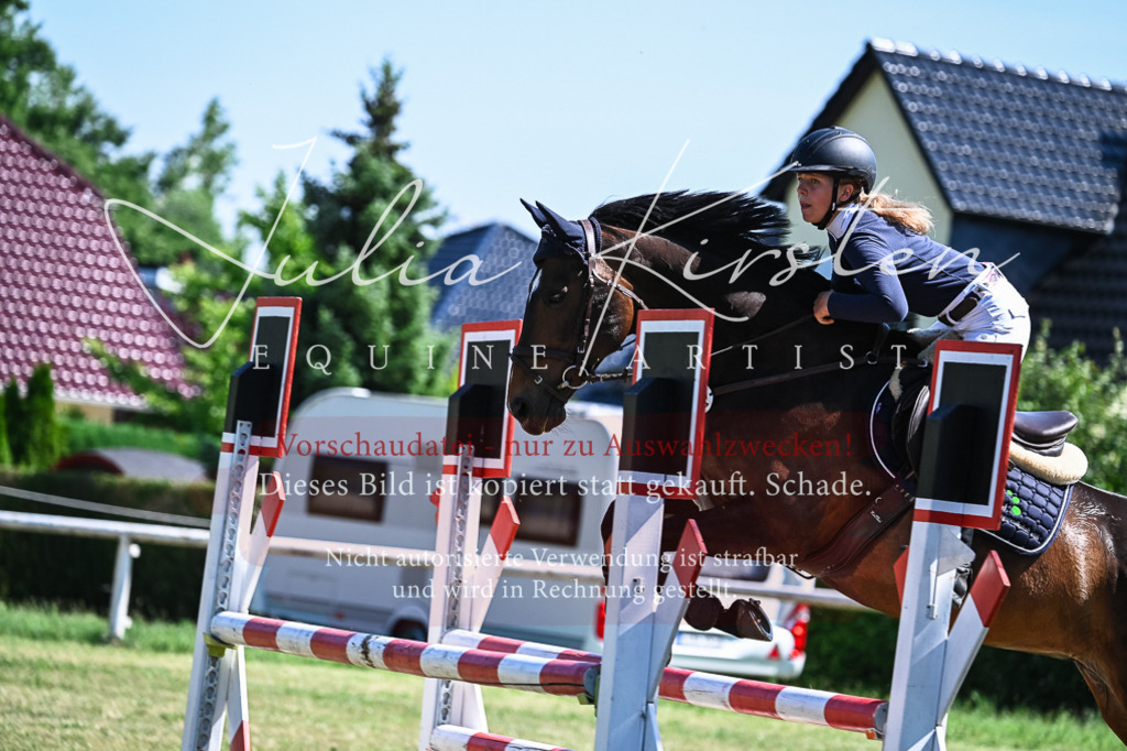 DSC_1318 | Pferde- und Turnierfotografie in Westsachsen. Pferdeportraits, Auftragszeichnungen und intuitive Kunst.